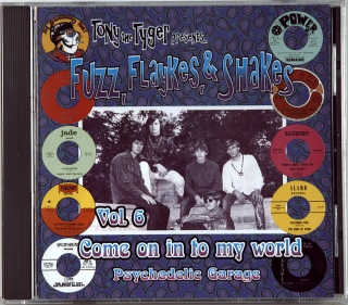 FUZZ, FLAYKES, & SHAKES VOL. 6: COME ON IN TO MY WORLD (1967-1969)