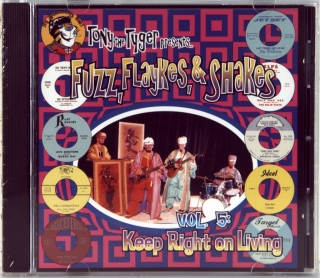 FUZZ, FLAYKES, & SHAKES VOL. 5: KEEP RIGHT ON LIVING (1960-1968)
