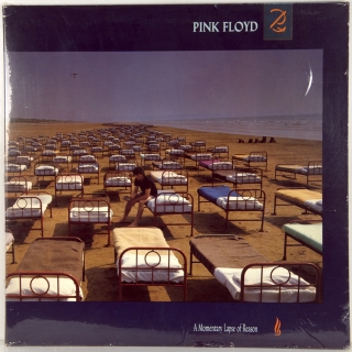 A MOMENTARY LAPSE OF REASON