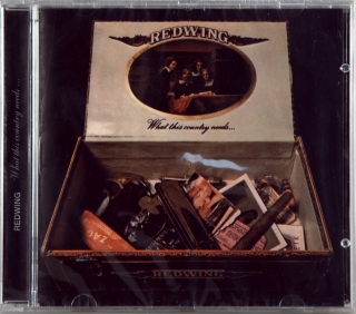 WHAT THIS COUNTRY NEEDS…