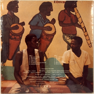 ZOMBIE BIRDHOUSE