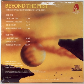 BEYOND THE MIST