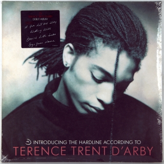 INTRODUCING THE HARDLINE ACCORDING TO TERENCE TRENT D'ARBY