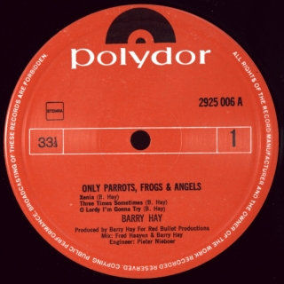 ONLY PARROTS, FROGS AND ANGELS