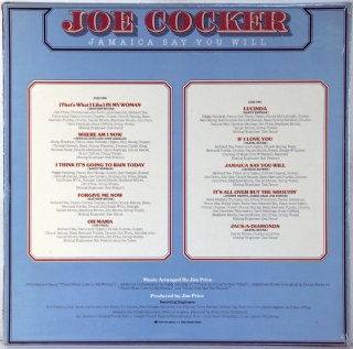 JAMAICA SAY YOU WILL