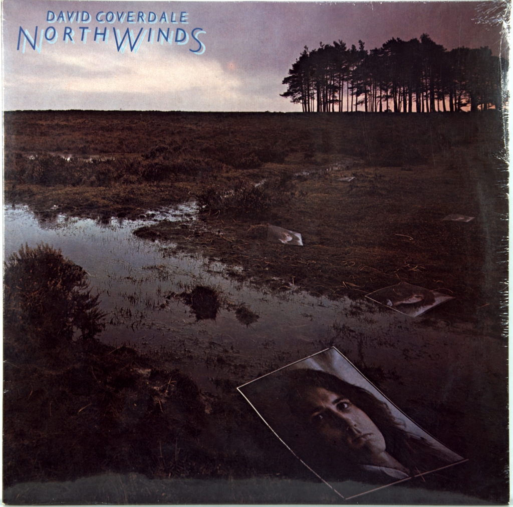 COVERDALE, DAVID (EX-DEEP PURPLE) - NORTHWINDS - (LP) Vinyl record