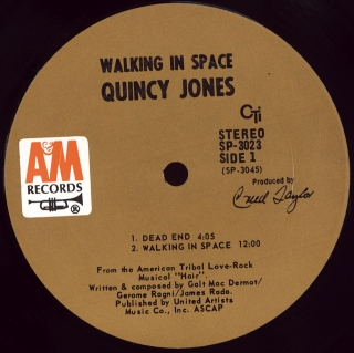 WALKING IN SPACE
