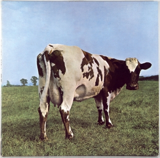 ATOM HEART MOTHER