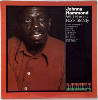 WILD HORSES ROCK STEADY