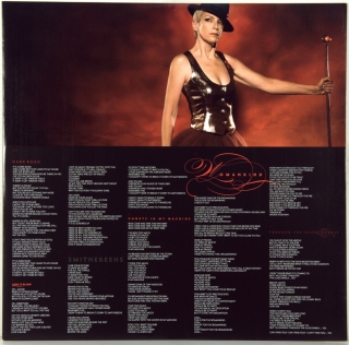 SONGS OF MASS DESTRUCTION