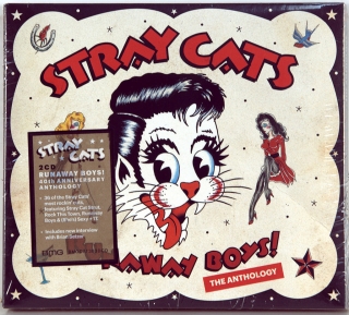 RUNAWAY BOYS! THE ANTHOLOGY