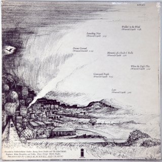 WHEN THE EAGLE FLIES