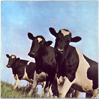 ATOM HEART MOTHER