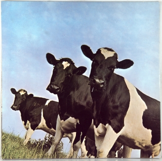 ATOM HEART MOTHER