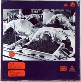 AMMONIA AVENUE