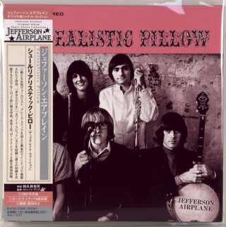 SURREALISTIC PILLOW