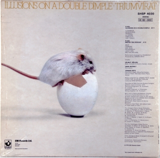 ILLUSIONS ON A DOUBLE DIMPLE