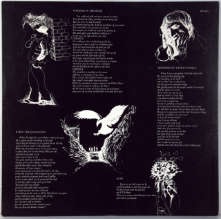 WHEN THE EAGLE FLIES