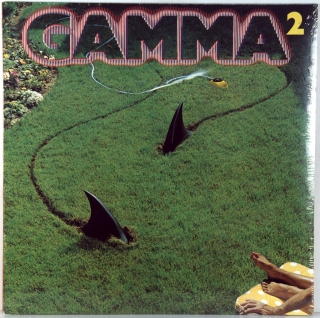 GAMMA 2