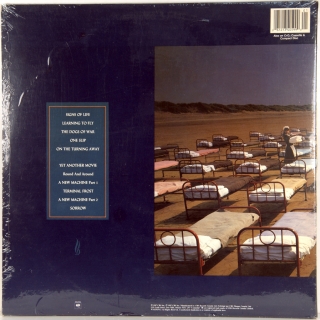 A MOMENTARY LAPSE OF REASON