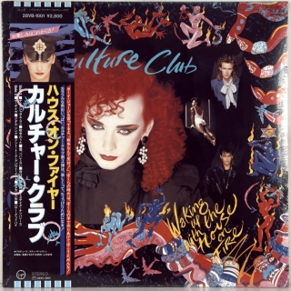 WAKING UP WITH THE HOUSE ON FIRE