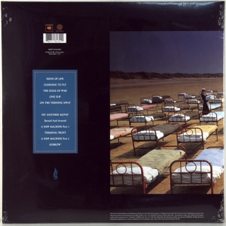 A MOMENTARY LAPSE OF REASON