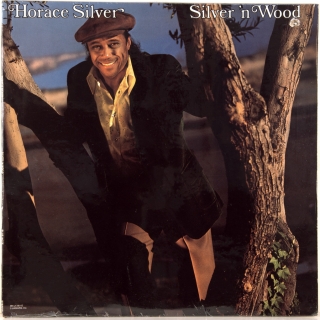 SILVER 'N WOOD