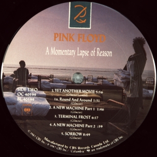 A MOMENTARY LAPSE OF REASON