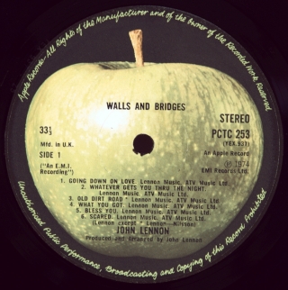 WALLS  AND BRIDGES