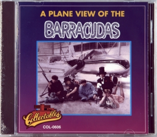 A PLANE VIEW OF THE BARRACUDAS