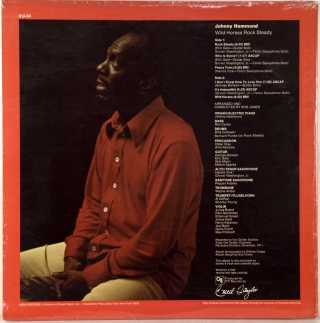 WILD HORSES ROCK STEADY