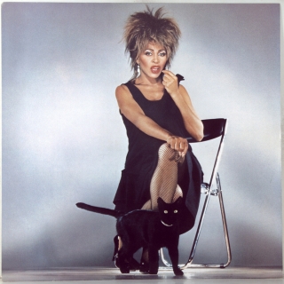 PRIVATE DANCER