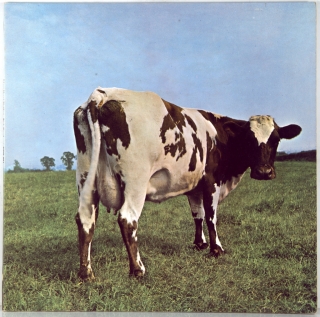 ATOM HEART MOTHER