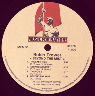 BEYOND THE MIST