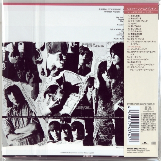 SURREALISTIC PILLOW