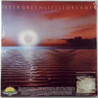 LITTLE DREAMER