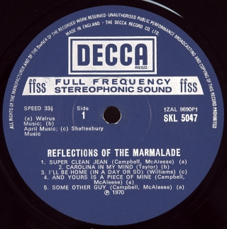 REFLECTIONS OF THE MARMALADE